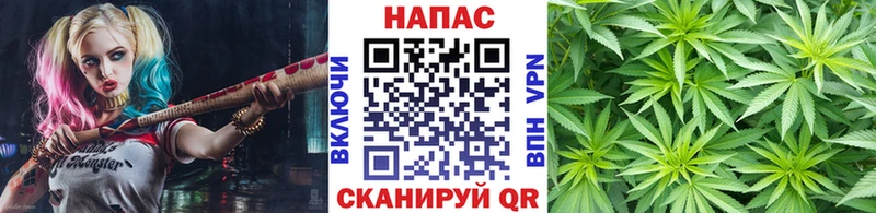 Купить закладку СОЛЬ  Кокаин  Мефедрон  Каннабис  Гашиш  Балабаново