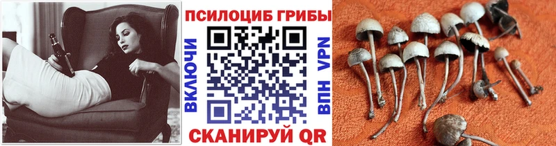 Галлюциногенные грибы ЛСД  Купить  Балабаново 