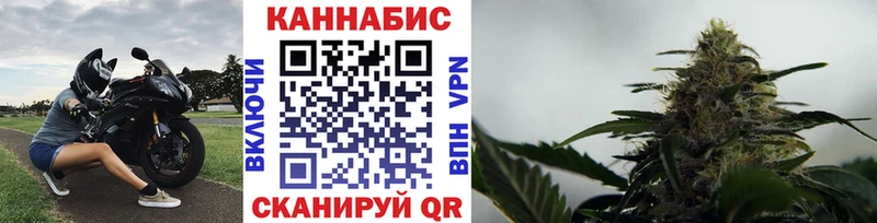 Каннабис OG Kush  Купить где  Балабаново 